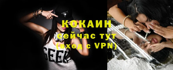 индика Нефтекумск