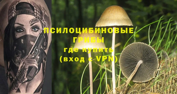 индика Нефтекумск
