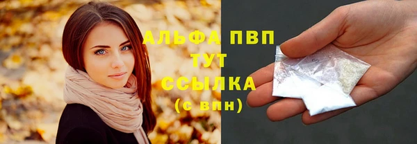 индика Нефтекумск