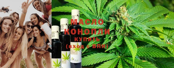 индика Нефтекумск