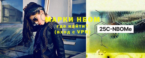 индика Нефтекумск